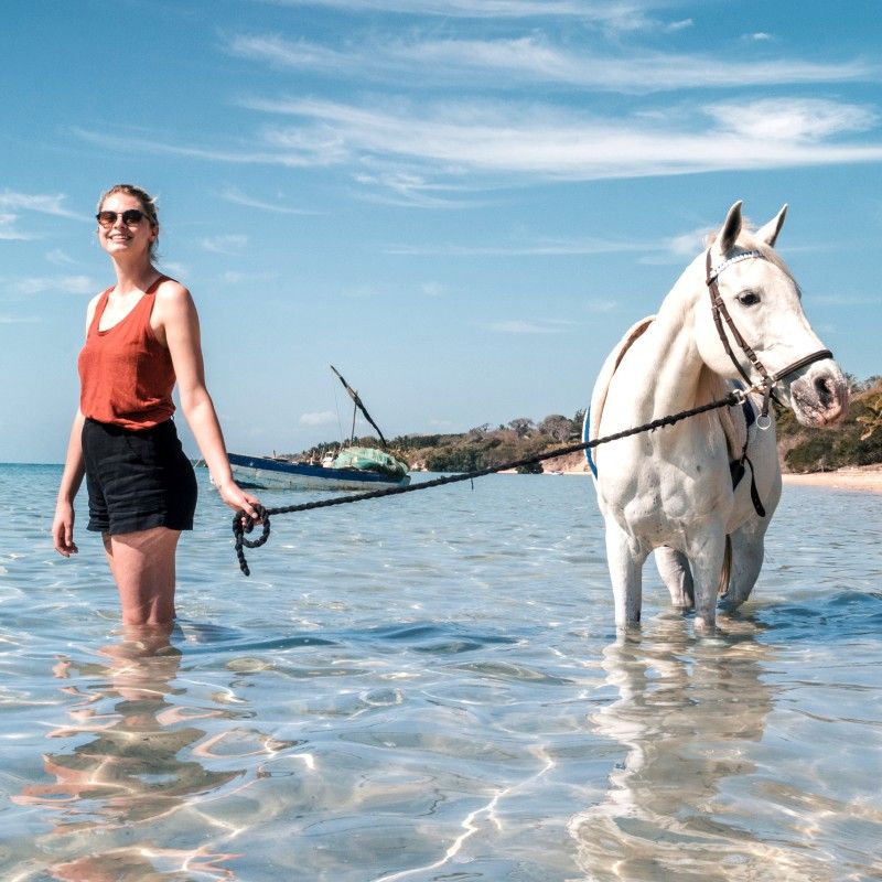 Gaze upon a serene coastal adventure as two vacationers ride horses through the shallow turquoise waters of Mozambique’s Bazaruto Archipelago. This captivating photograph captures the harmony of white sand beaches, crystal-clear Indian Ocean waters, and the freedom of exploring by horseback along the shoreline. The vivid blues of the sea contrast beautifully with the natural elegance of the horses, creating a truly idyllic island scene. Experiencing Bazaruto in this unique way offers a sense of tranquility, exclusivity, and connection to nature. Inspiration Africa specializes in crafting bespoke, tailor-made journeys that combine island escapes with extraordinary adventure experiences across Africa’s most remarkable destinations.
