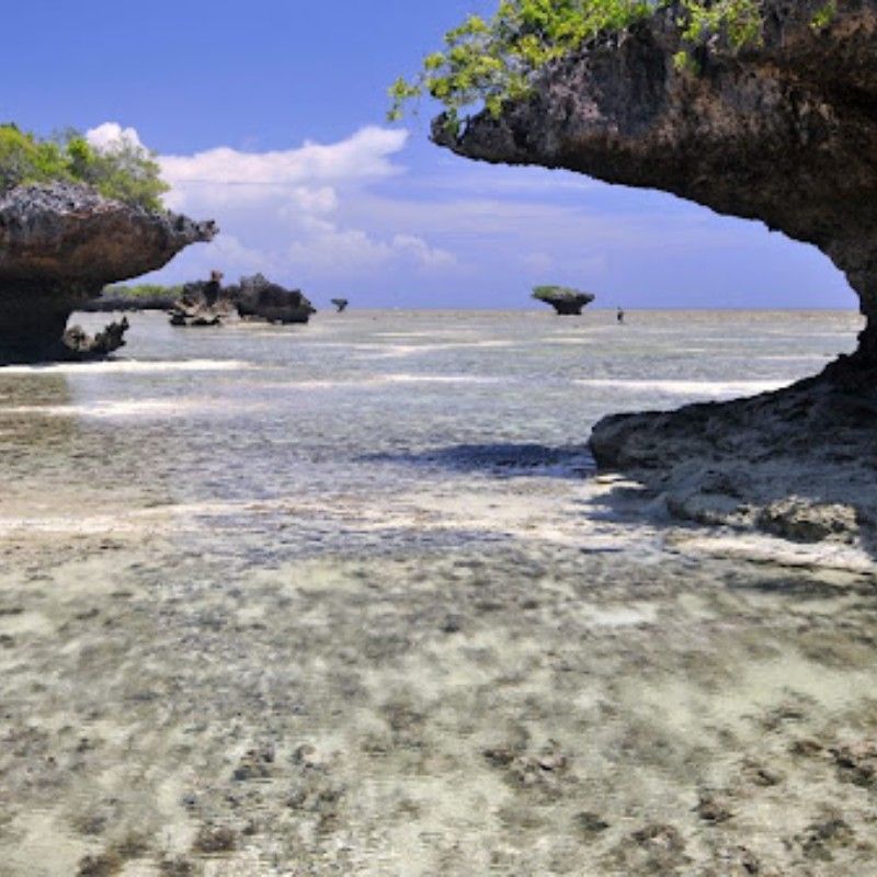 The Quirimbas Archipelago in Mozambique is captured in this stunning travel photograph at low tide, revealing expansive sandbanks and shallow lagoons stretching across the horizon. The retreating ocean exposes patterns of white sand and crystal-clear turquoise water, creating a striking contrast between land and sea. Traditional dhows and distant islands dot the scene, adding a sense of scale and timeless coastal life. The photograph conveys serenity, untouched beauty, and a feeling of discovery, highlighting the Quirimbas Archipelago as one of Mozambique’s most pristine and enchanting island destinations. Inspiration Africa specializes in bespoke, tailor-made journeys to Mozambique and across Africa, crafting unforgettable travel experiences in extraordinary destinations.

