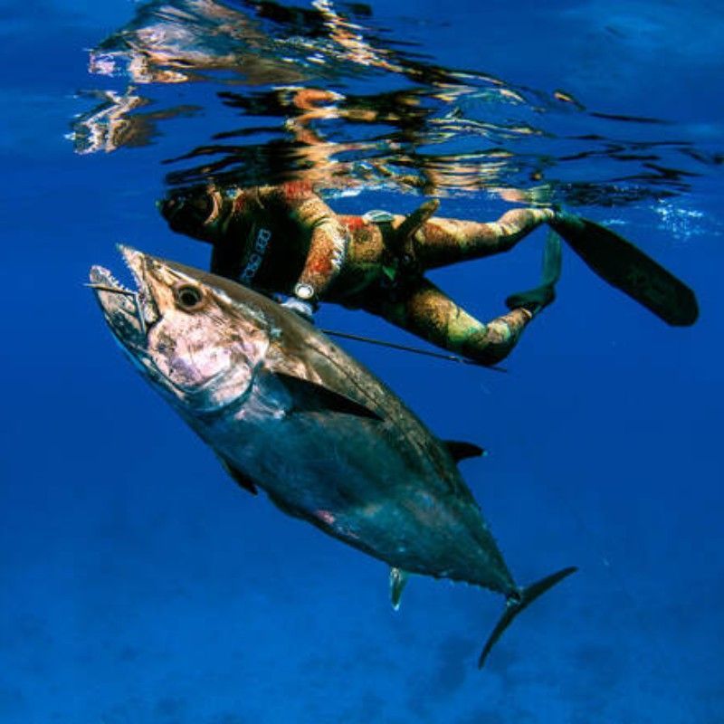 Mozambique’s waters are ideal for fishing and spearfishing, offering abundant marine life, clear seas, and opportunities to catch tuna, marlin, and snapper.