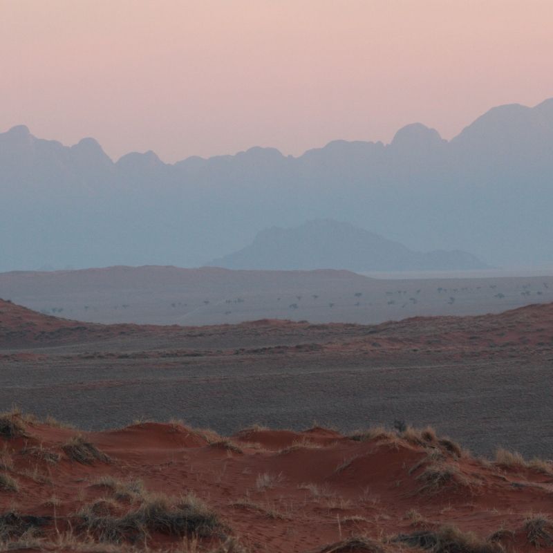 A soft sunset bathes the vast dunes of the Namib Desert in Namibia in warm, gentle light, captured in this atmospheric travel photograph. Rolling sand dunes stretch endlessly toward the horizon, their curves and textures enhanced by pastel skies and fading daylight. As one of the world’s oldest deserts, the Namib is renowned for its stark beauty, dramatic landscapes, and sense of profound solitude. This serene sunset scene highlights the desert’s timeless allure, ideal for photographers, nature lovers, and adventure travelers. Inspiration Africa specializes in bespoke, tailor-made journeys to Namibia and across Africa, crafting authentic experiences that showcase iconic landscapes, remote wilderness, and unforgettable moments in extraordinary destinations.