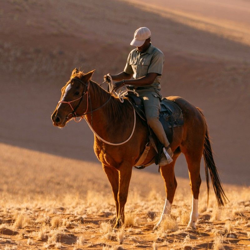 Gaze upon a sense of adventure as two travelers ride across sweeping sand dunes in the Namibian desert. This evocative photograph captures the vast scale of golden dunes, endless horizons, and the thrill of exploring one of the world’s oldest deserts. The scene reflects freedom, remoteness, and the raw beauty that defines Namibia’s landscapes. Experiencing the desert in this immersive way offers a unique connection to nature and a powerful sense of space. Inspiration Africa specializes in crafting bespoke, tailor-made journeys that deliver unforgettable desert adventures and extraordinary travel experiences across Africa’s most remarkable destinations.
