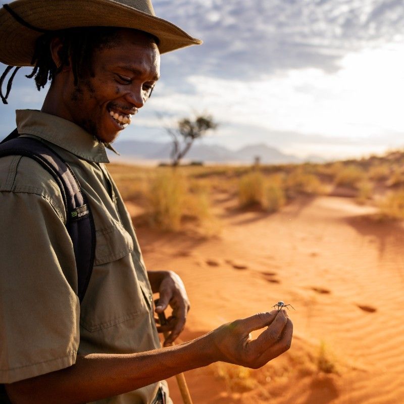 Desert walk through the NamiRand Nature Reserve with a ranger teaching you about the desert, it's plants and animals and how they survive.