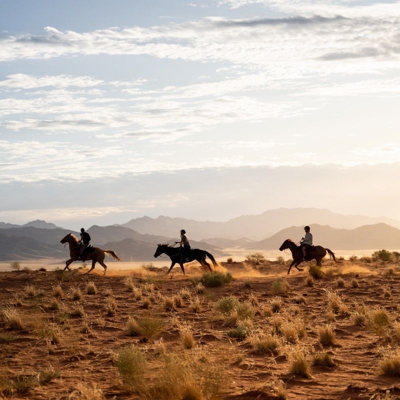 A group of people riding horses in the NamibRand nature reserve desert near Wolvedans