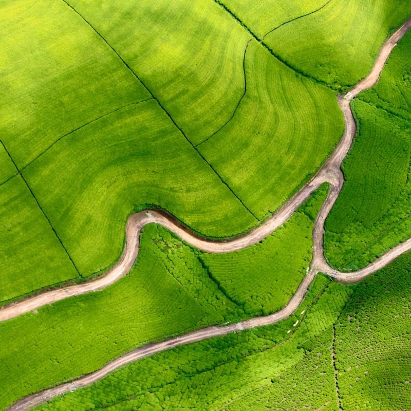Aerial view of the tea plantation fields in the western part of the country on the road from Ruhengeri to Gisenyi.