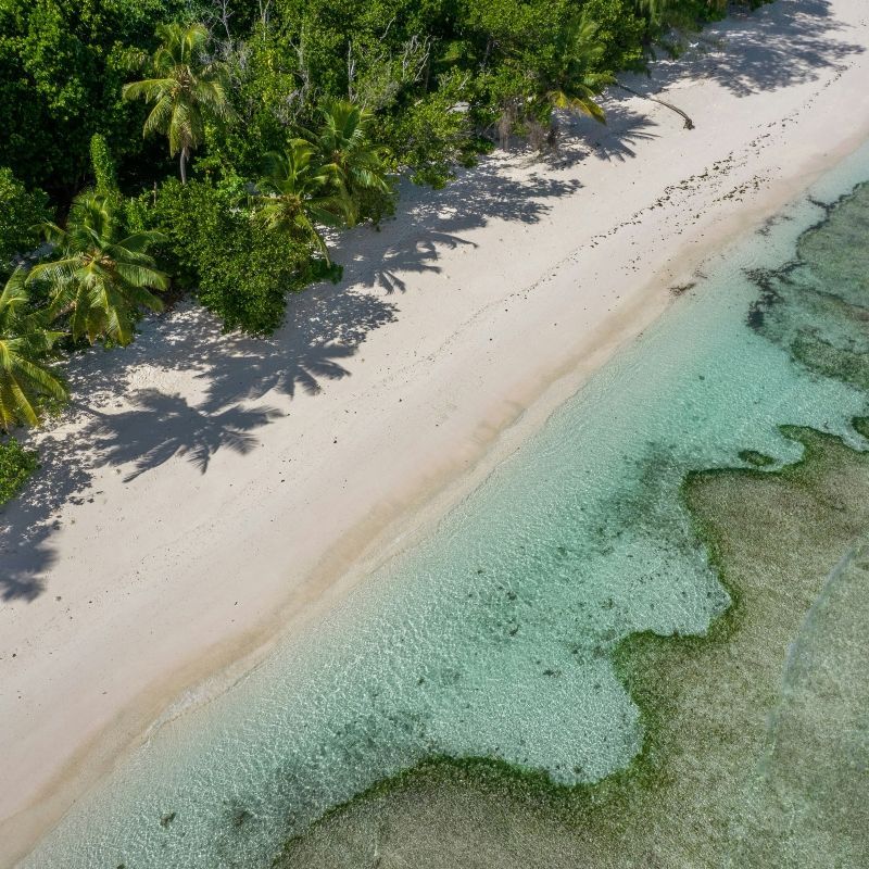 Experience the serene, bright beauty of Anse Source d'Argent in the Seychelles from the air. This aerial view captures the scene with a light, airy mood, highlighting the truly crystal clear turquoise water. The immaculate white sand and iconic grey granite boulders perfectly complement the transparent, shallow sea. Inspiration Africa specializes in designing your bespoke, tailor-made trip to Seychelles' most photogenic beaches and other incredible African destinations. Book your luxurious, light-hearted island escape with us!
