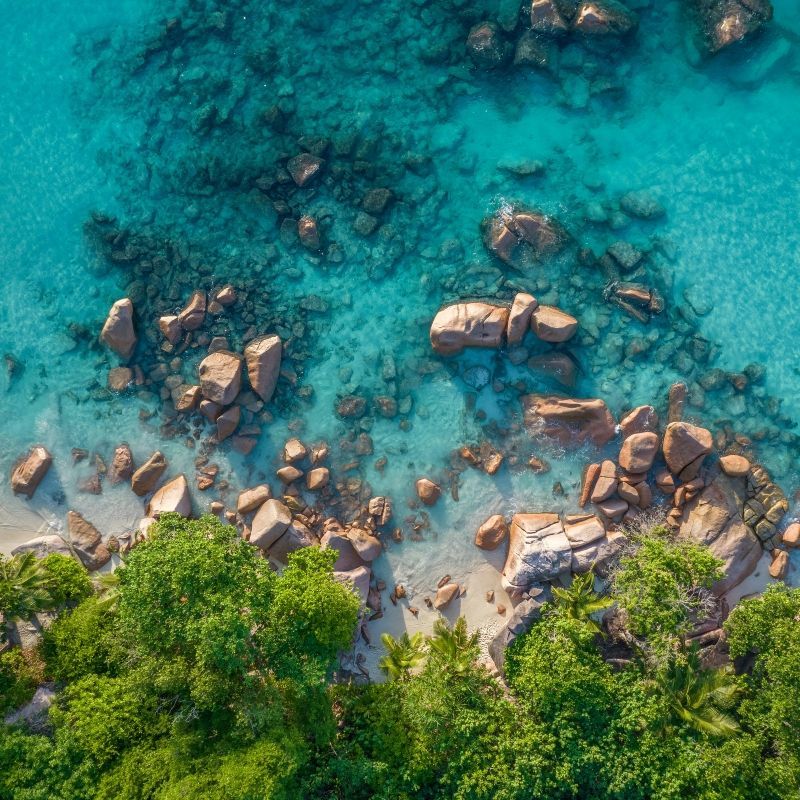 Behold the iconic beauty of Anse Source d'Argent in the Seychelles from above. This stunning aerial photo showcases the exquisite contrast between the bright white sand and the ocean's vibrant shades of turquoise blue. Massive, sculptural grey granite rocks anchor the scene, backed by lush green vegetation along the beach edge. Inspiration Africa specializes in designing your ultimate, tailor-made trip to Seychelles and other incredible African destinations. Book your dream island escape with us!