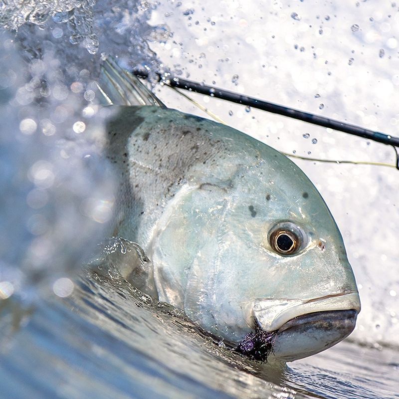 Fishing in the Seychelles is a popular activity, with rich waters offering diverse catches like tuna, marlin, and snapper. Whether deep-sea, fly, or reef fishing, the islands provide various experiences for anglers of all skill levels. Areas around Mahé, Praslin, and the Outer Islands are especially renowned for big-game fishing, attracting enthusiasts from around the world. 
