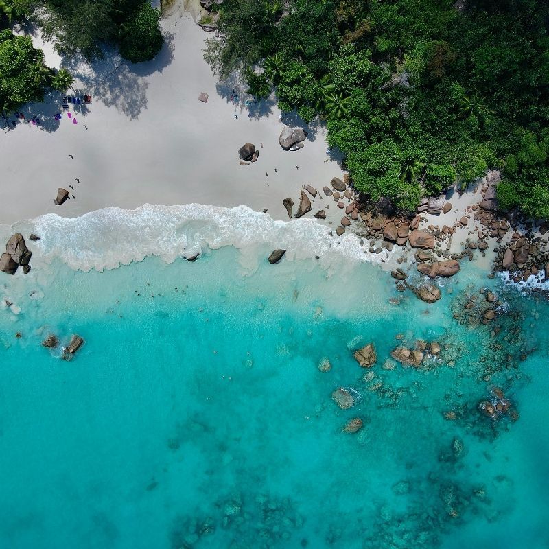 Soar above paradise with this stunning aerial photo of a Seychelles beach. The scene is defined by breathtakingly clear turquoise water kissing the pristine white sand, framed by lush vegetation and swaying palm trees. This is the ultimate vision of a perfect, secluded tropical escape. Inspiration Africa specializes in designing your bespoke, tailor-made trip to Seychelles and many other world-class destinations across Africa. Book your dream beach holiday with us today!