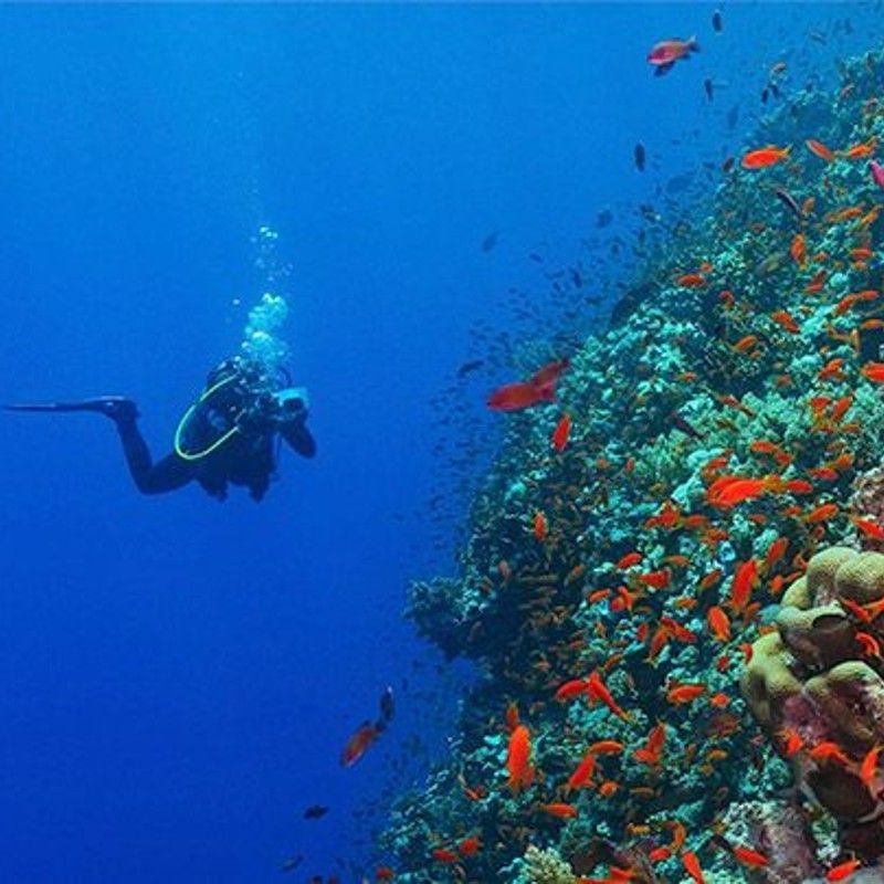 Sudan’s Red Sea coast offers exceptional diving experiences, with vibrant coral reefs and diverse marine life, making it a prime destination for underwater exploration near Port Sudan.