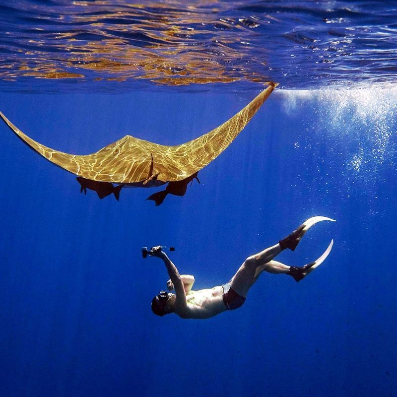 St. Helena offers diving experiences with clear waters, vibrant marine life, shipwrecks, and opportunities to encounter whale sharks, making it a unique destination for underwater exploration and marine adventure.