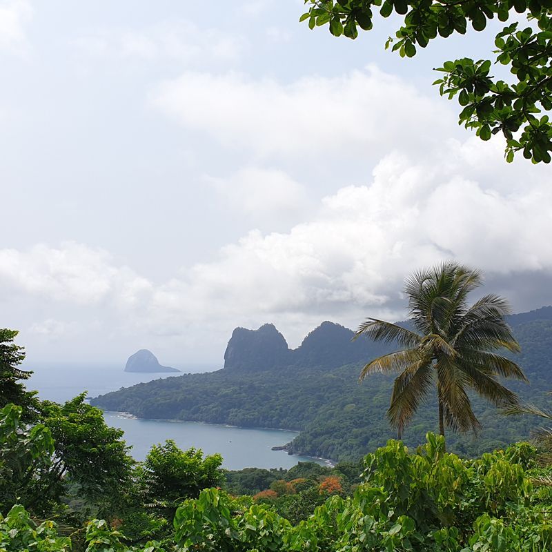 This view from the mountains of Príncipe Island, São Tomé and Príncipe, captures the wild, tropical beauty of the island—lush rainforest tumbling toward the sea, with volcanic peaks rising in the distance. Areas like Pico do Príncipe, Oquê Pipi, and the Bom Bom region are known for these dramatic landscapes and untouched scenery. The island’s rich biodiversity and remote charm make it a paradise for nature lovers and photographers. Inspiration Africa offers tailor-made journeys to São Tomé and Príncipe, guiding travelers through the islands’ forests, coastlines, and panoramic viewpoints for a truly immersive island experience.