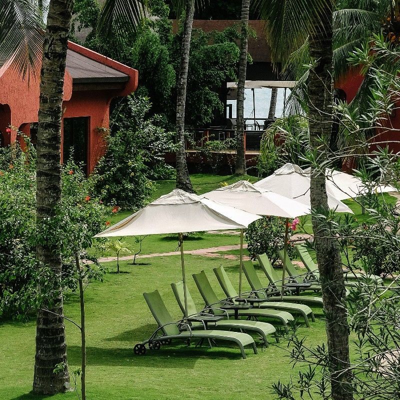 The garden and pool area at Omali in São Tomé and Príncipe is captured in this inviting travel photograph, showcasing a lush tropical setting designed for relaxation and comfort. The sparkling pool is surrounded by vibrant greenery, palm trees, and flowering plants, creating a serene oasis that blends seamlessly with the island’s natural environment. Sun loungers and shaded areas provide welcoming spaces for guests to unwind while enjoying views of the gardens and distant ocean or forest scenery. The scene conveys a sense of tranquility, luxury, and harmony with nature, highlighting Omali as an idyllic retreat in São Tomé and Príncipe. Inspiration Africa specializes in bespoke, tailor-made journeys to São Tomé and Príncipe and across Africa, crafting unforgettable travel experiences in extraordinary destinations.
