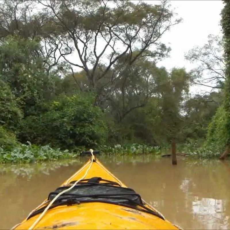 Canoeing in São Tomé, especially through the Malanza Mangroves, allows visitors to navigate serene waterways surrounded by dense mangrove forests, offering a peaceful way to observe unique wildlife, rich biodiversity, and immerse in the island's natural beauty.