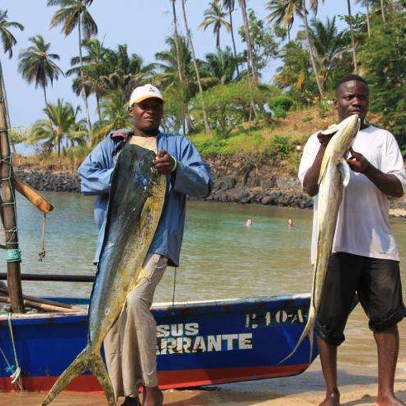 São Tomé offers diverse fishing experiences, from traditional coastal fishing with local fishers to deep-sea excursions for tuna, sailfish, and marlin. The island’s rich marine life and clear waters create an exciting destination for both casual and serious anglers.