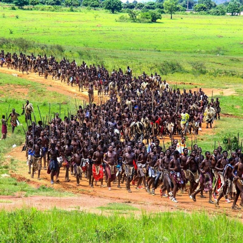 A long line of young warriors sings and dances along a winding road, capturing the vibrant cultural spirit of Eswatini’s two great festivals—the Umhlanga Reed Dance and the Incwala Kingship Ceremony. These powerful traditions offer visitors an immersive glimpse into Swazi heritage, unity, and ancestral pride. Experience these remarkable cultural encounters with your expert DMC and local travel agent, Inspiration Africa.