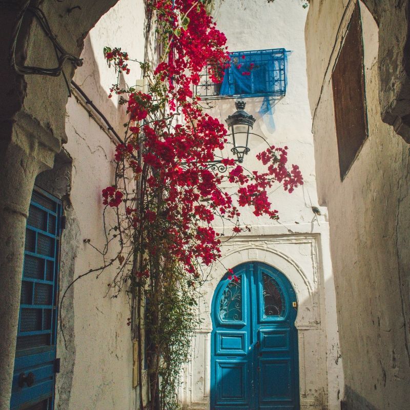 White-washed walls, blue shutters and doors, and winding cobbled streets define the charm of Sidi Bou Said, Tunisia’s iconic hilltop village overlooking the Mediterranean. This picture-perfect scene captures the essence of Tunisian coastal beauty and timeless architecture. Inspiration Africa organizes tailor-made travel to Tunisia, including guided visits to Sidi Bou Said and beyond. Whether you're strolling through its quiet lanes or enjoying the sea views, this destination offers a unique blend of history and atmosphere. Let Inspiration Africa design your journey to explore the colors, culture, and coastal charm of Sidi Bou Said and the rest of Tunisia.