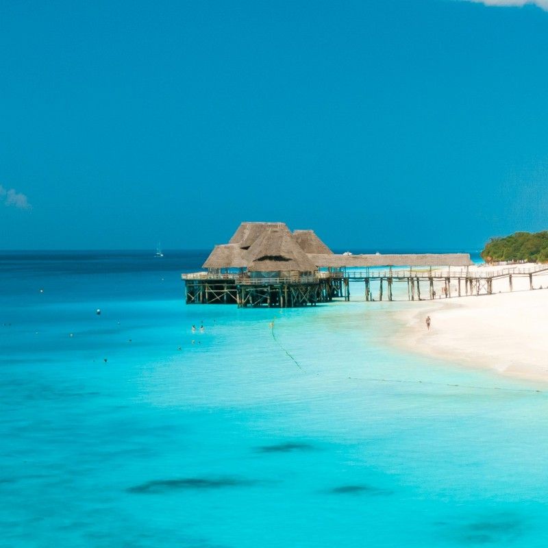 Welcome to paradise! This stunning photo captures the essence of a perfect Zanzibar beach, featuring impossibly clear turquoise water lapping against dazzling white sand. Lush green vegetation and swaying palm trees frame the idyllic scene, promising ultimate relaxation. Inspiration Africa specializes in designing your ultimate, tailor-made trip to Zanzibar and many other incredible destinations across Africa. Book your dream island escape with us today!