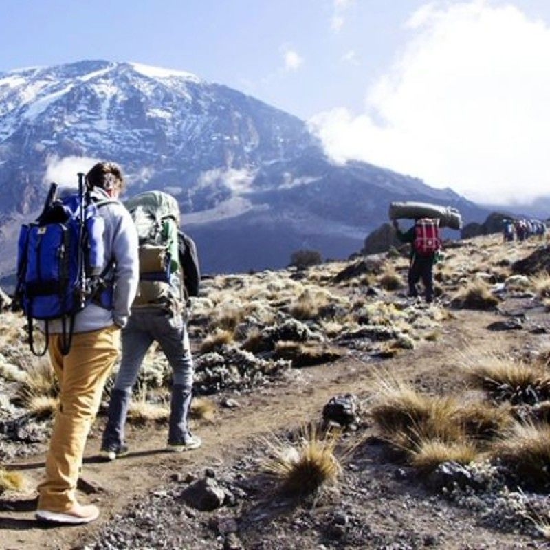 Trekking and hiking on Mount Kilimanjaro