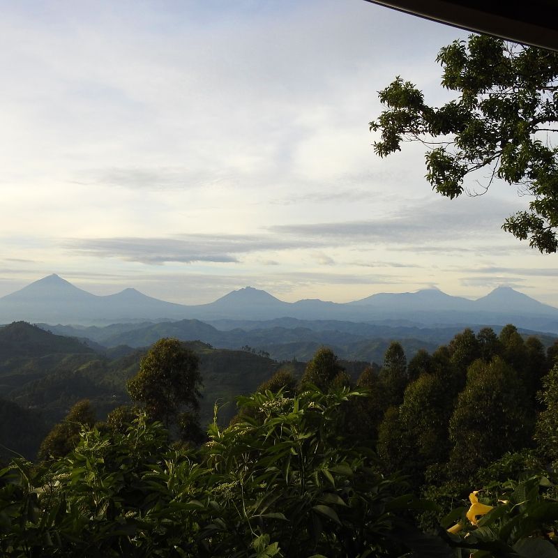 Gaze upon the lush mountains and verdant jungles of Uganda, captured in this breathtaking landscape photograph. Rolling hills covered in dense greenery stretch into the distance, highlighting the country’s rich biodiversity and dramatic topography. Uganda’s mountains and forests are home to extraordinary wildlife, including mountain gorillas and countless bird species, offering a haven for nature lovers and adventurers alike. Experiencing this vibrant, untamed wilderness provides an immersive connection to Africa’s natural beauty. Inspiration Africa specializes in designing bespoke, tailor-made journeys that combine extraordinary wildlife encounters with the continent’s most remarkable landscapes.
