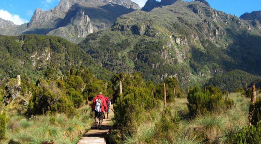 Hiking and Trekking on Wagagi Peak on Mount Elgon National Park