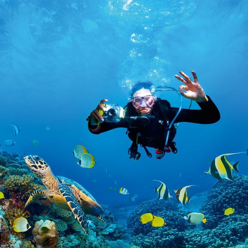 Diving in Kwazulu Natal