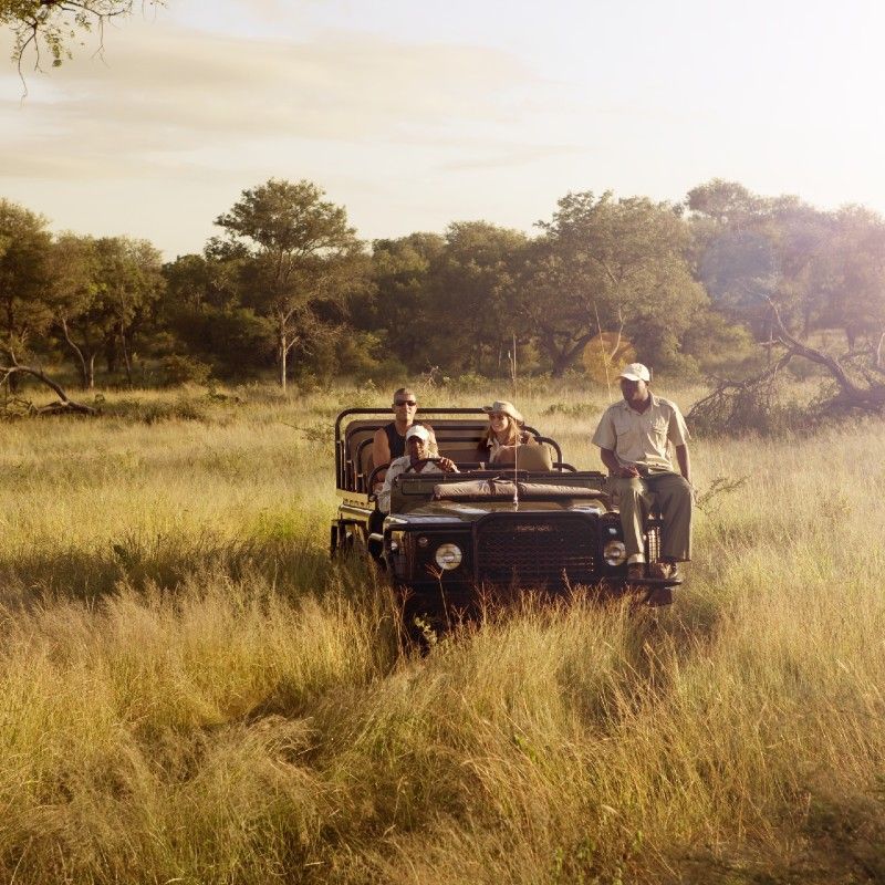 Daytime game drive in open jeep with a ranger