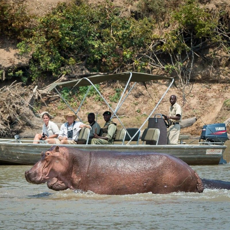 Boat safari in the south luanga national park