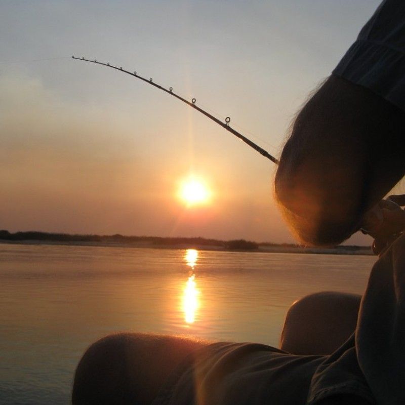 Tiger fishing on the lower Zambezi. Together with it's access to Lake Tanganyka, Zambia offer a wide choice of fishing safaris destinations 