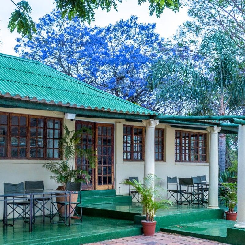 The exterior of Farmhouse Lodge in Zimbabwe is captured in this charming travel photograph, featuring the lodge set amidst lush gardens with a blooming jacaranda tree in full purple blossom. The building’s natural materials and classic design blend seamlessly with the surrounding greenery, creating a sense of harmony and tranquility. Sunlight filters through the vibrant jacaranda canopy, highlighting the peaceful and inviting atmosphere of the lodge grounds. The scene conveys a relaxing retreat where guests can enjoy both comfort and connection to Zimbabwe’s scenic landscapes and seasonal beauty. Inspiration Africa specializes in bespoke, tailor-made journeys to Zimbabwe and across Africa, crafting unforgettable travel experiences in extraordinary destinations.

