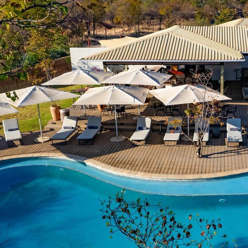 The pool and lodge at Insika Lodge in Zimbabwe are captured in this striking aerial travel photograph, showcasing the property nestled within the bushland of Hwange National Park. The sparkling swimming pool and surrounding deck areas contrast beautifully with the natural vegetation and open savannah, emphasizing the lodge’s integration with its wilderness setting. Canvas tents and wooden structures are arranged thoughtfully to blend with the landscape, while elevated pathways and outdoor spaces invite guests to relax and enjoy the views. The image conveys a sense of seclusion, comfort, and immersive safari experience, highlighting the lodge’s unique position in one of Zimbabwe’s most wildlife-rich regions. Inspiration Africa specializes in bespoke, tailor-made journeys to Zimbabwe and across Africa, crafting unforgettable safari experiences in extraordinary wilderness destinations.
