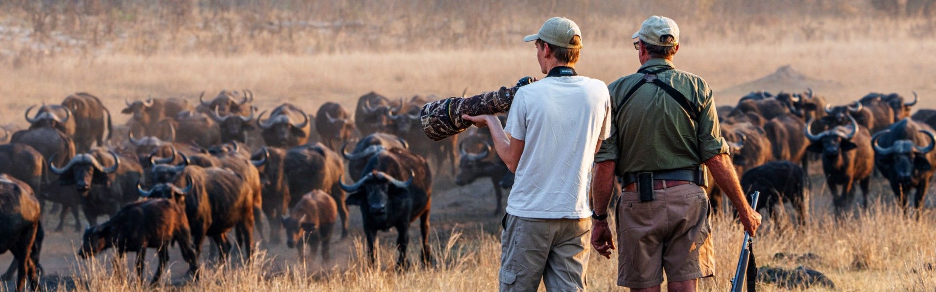 A safari traveler photographs a powerful herd of African buffalo in Hwange National Park, Zimbabwe, captured in this immersive wildlife travel photograph. Surrounded by open savannah and native woodlands, the scene reflects the excitement and intimacy of a photographic safari, where guests observe wildlife respectfully in their natural habitat. Hwange National Park is renowned for its vast landscapes, large buffalo herds, and exceptional game viewing opportunities. Ideal for wildlife photographers, nature enthusiasts, and safari travelers, this moment highlights authentic, low-impact safari experiences and close encounters with Africa’s iconic species. Inspiration Africa specializes in bespoke, tailor-made photographic safaris to Zimbabwe and across Africa, crafting expertly guided journeys that deliver unforgettable wildlife moments and extraordinary safari adventures.
