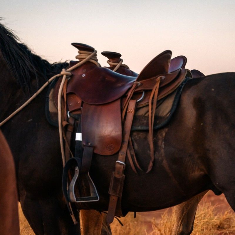 Gaze upon a sense of adventure as two travelers ride across sweeping sand dunes in the Namibian desert. This evocative photograph captures the vast scale of golden dunes, endless horizons, and the thrill of exploring one of the world’s oldest deserts. The scene reflects freedom, remoteness, and the raw beauty that defines Namibia’s landscapes. Experiencing the desert in this immersive way offers a unique connection to nature and a powerful sense of space. Inspiration Africa specializes in crafting bespoke, tailor-made journeys that deliver unforgettable desert adventures and extraordinary travel experiences across Africa’s most remarkable destinations.
