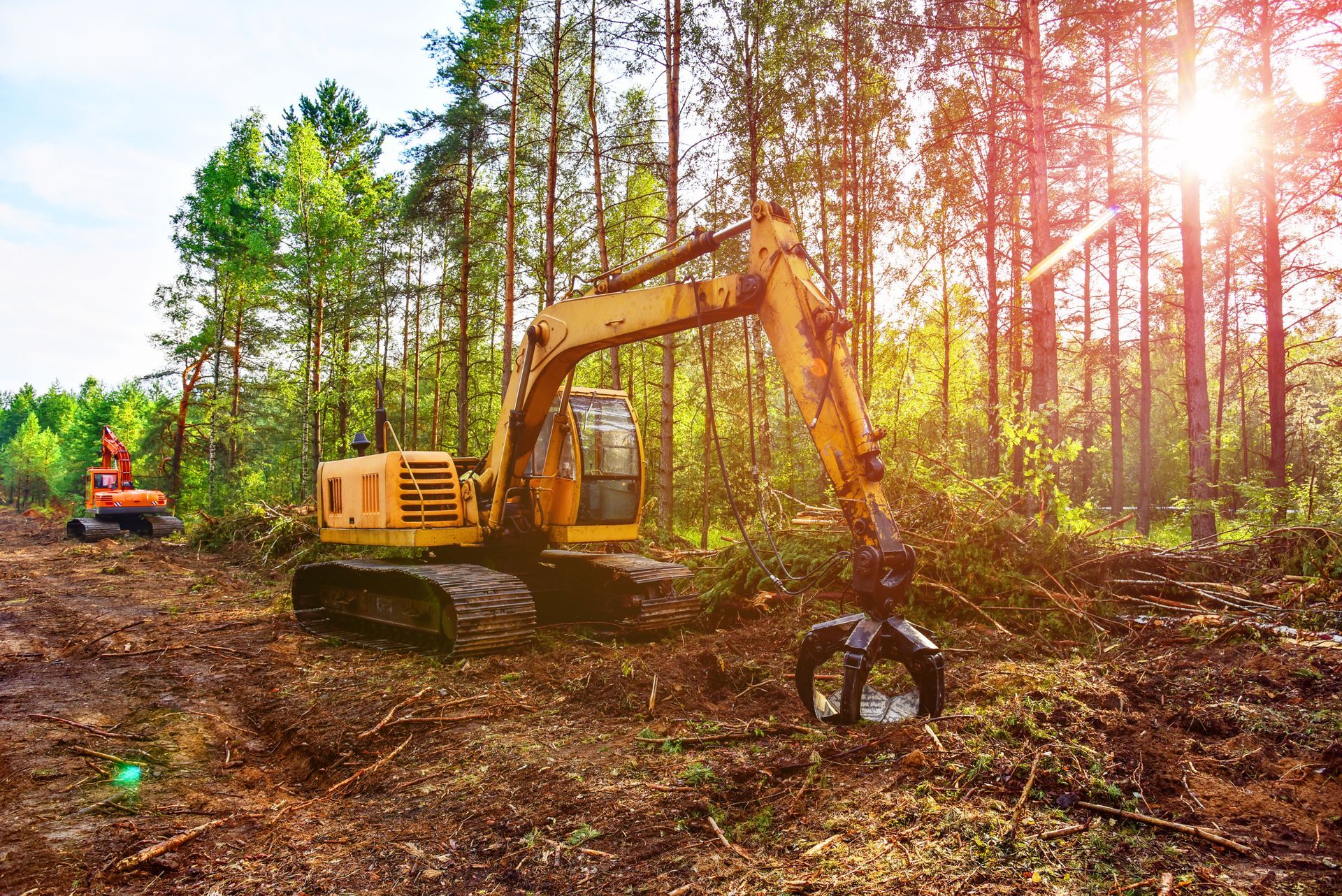 Yellow excavator in a forest clearing, removing trees; sun shines through the trees.