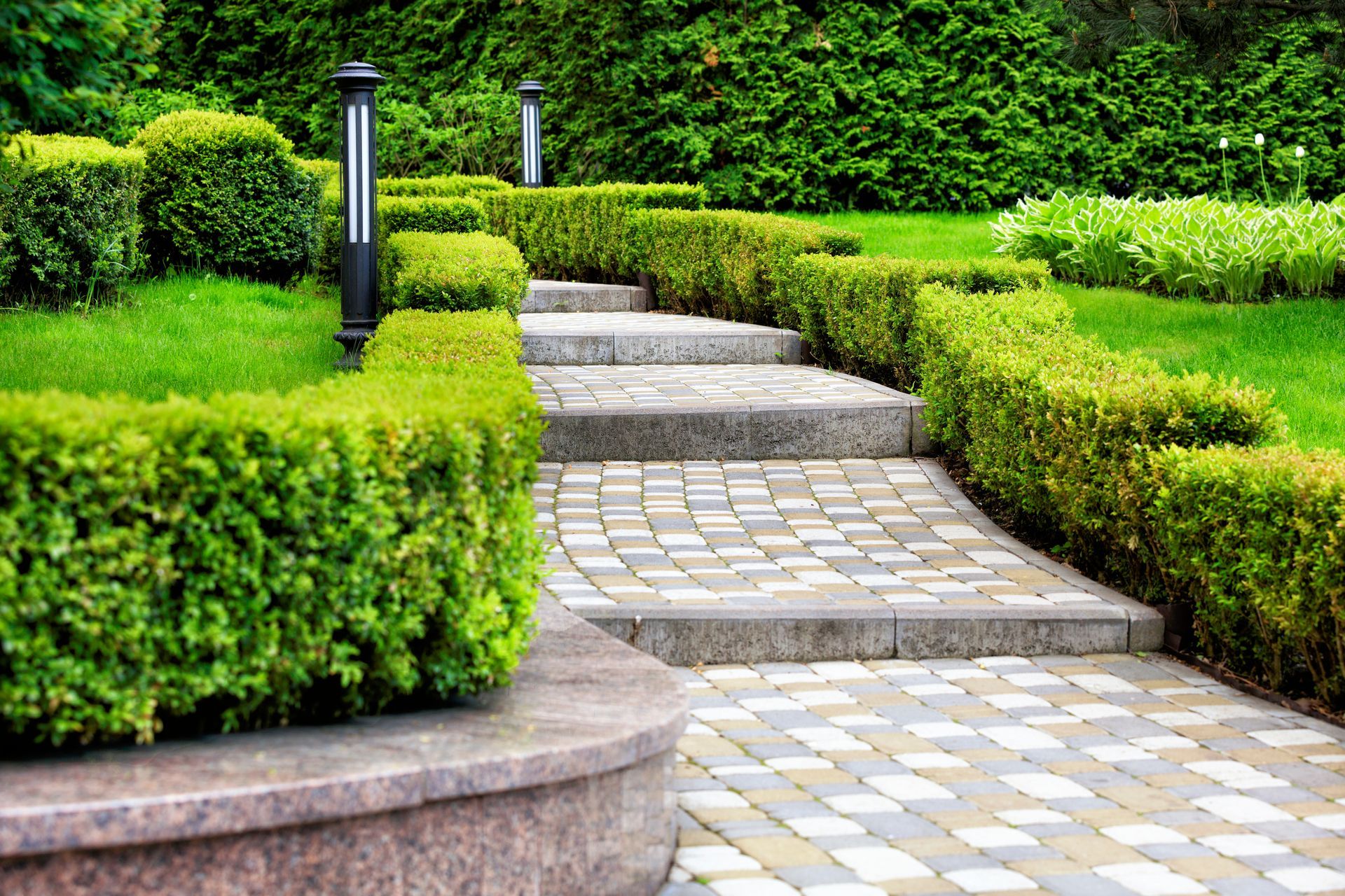 Stone pathway and steps ascending through manicured green hedges, with two black lamp posts. Stone pathway and steps ascending through manicured green hedges, with two black lamp posts.