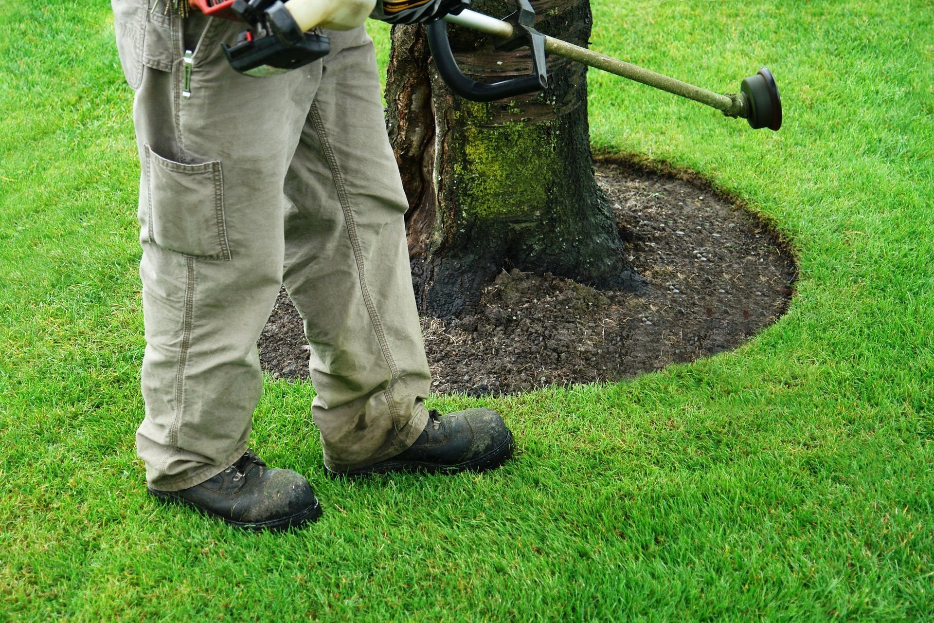 Person using a string trimmer to edge a circle around a tree in a grassy yard.