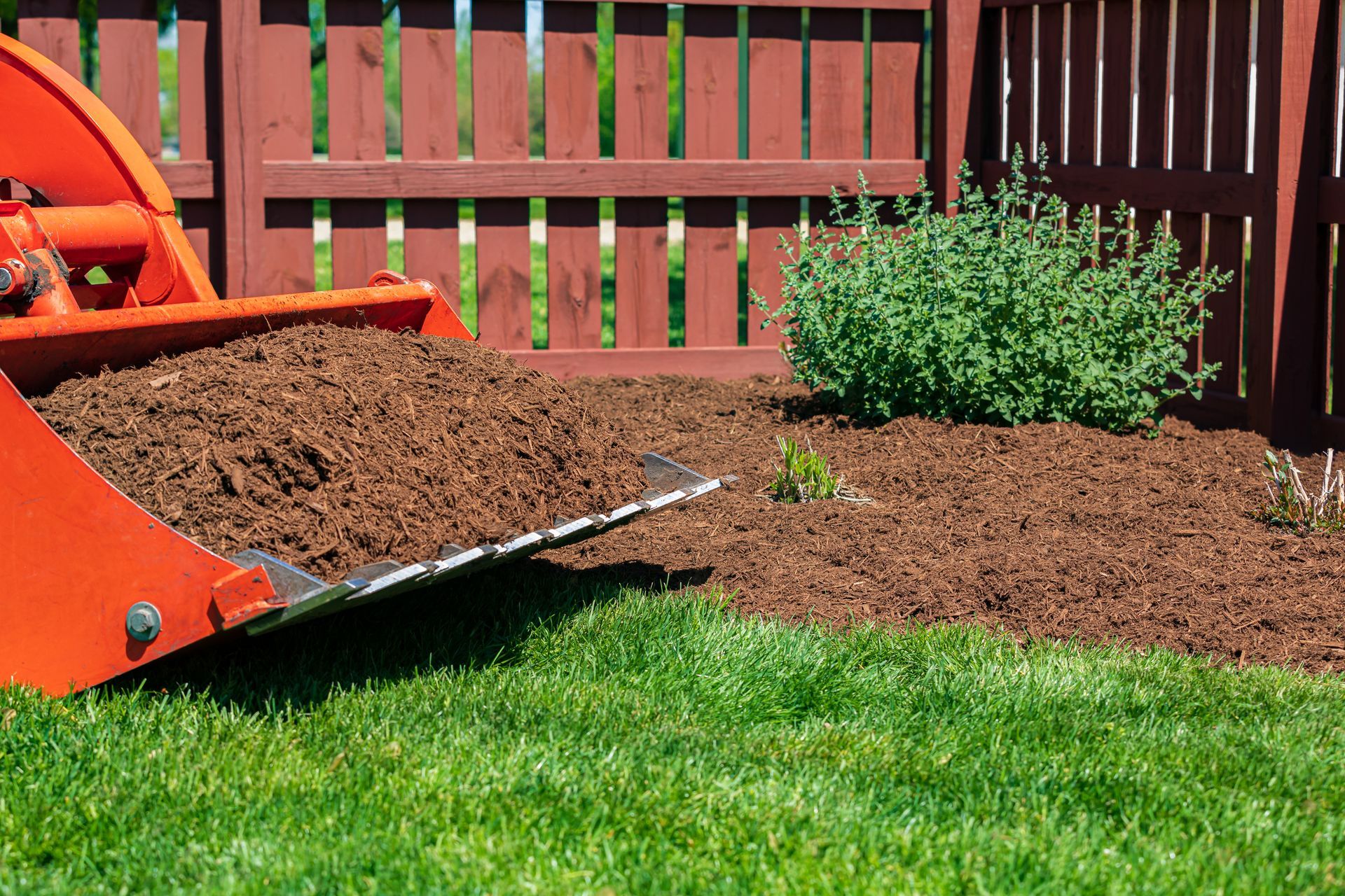 Orange tractor bucket dumping mulch onto a garden bed with a red fence in the background. Orange tractor bucket dumping mulch onto a garden bed with a red fence in the background.