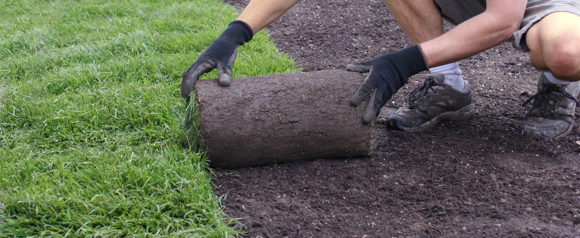 Person in black gloves rolling out a sod roll onto soil next to a green lawn.