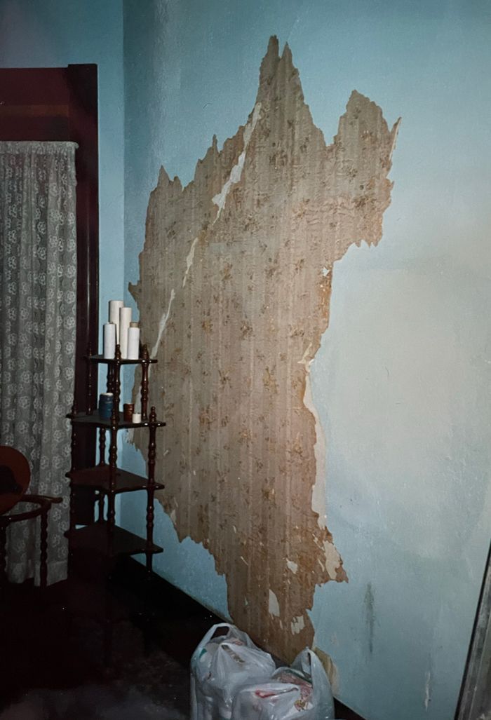 Large Areas Of Wallpaper Design Coming Off — Oakland, CA — Gaslight Interiors