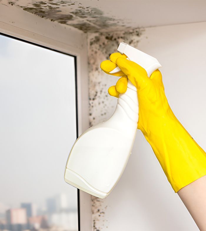 A Person Wearing Yellow Gloves is Cleaning a Window With a Spray Bottle — Dunckers in Nambour, QLD