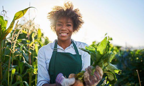 Proud African American Gardener — Raleigh, NC — Agribusiness Crop Insurance