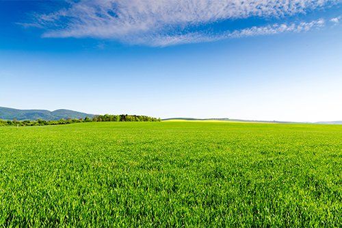 Green Field — Raleigh, NC — Agribusiness Crop Insurance