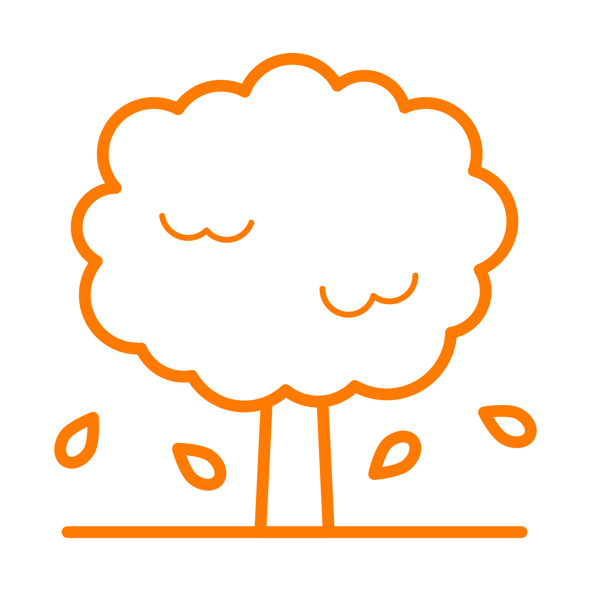 Contour orange d'un arbre aux feuilles mortes sur fond uni.