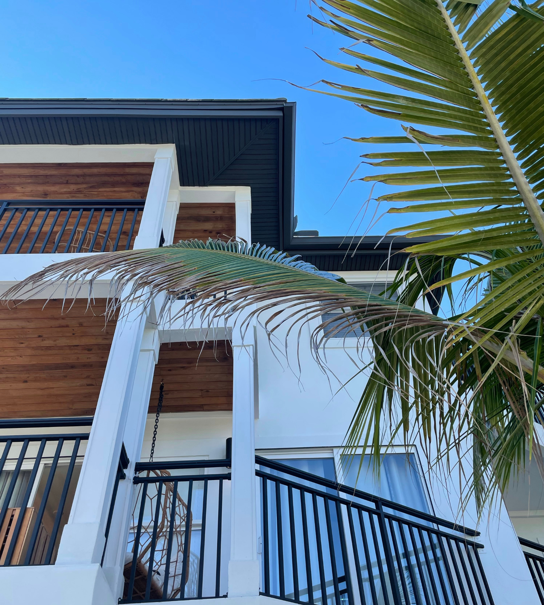 A house with a palm tree in front of it
