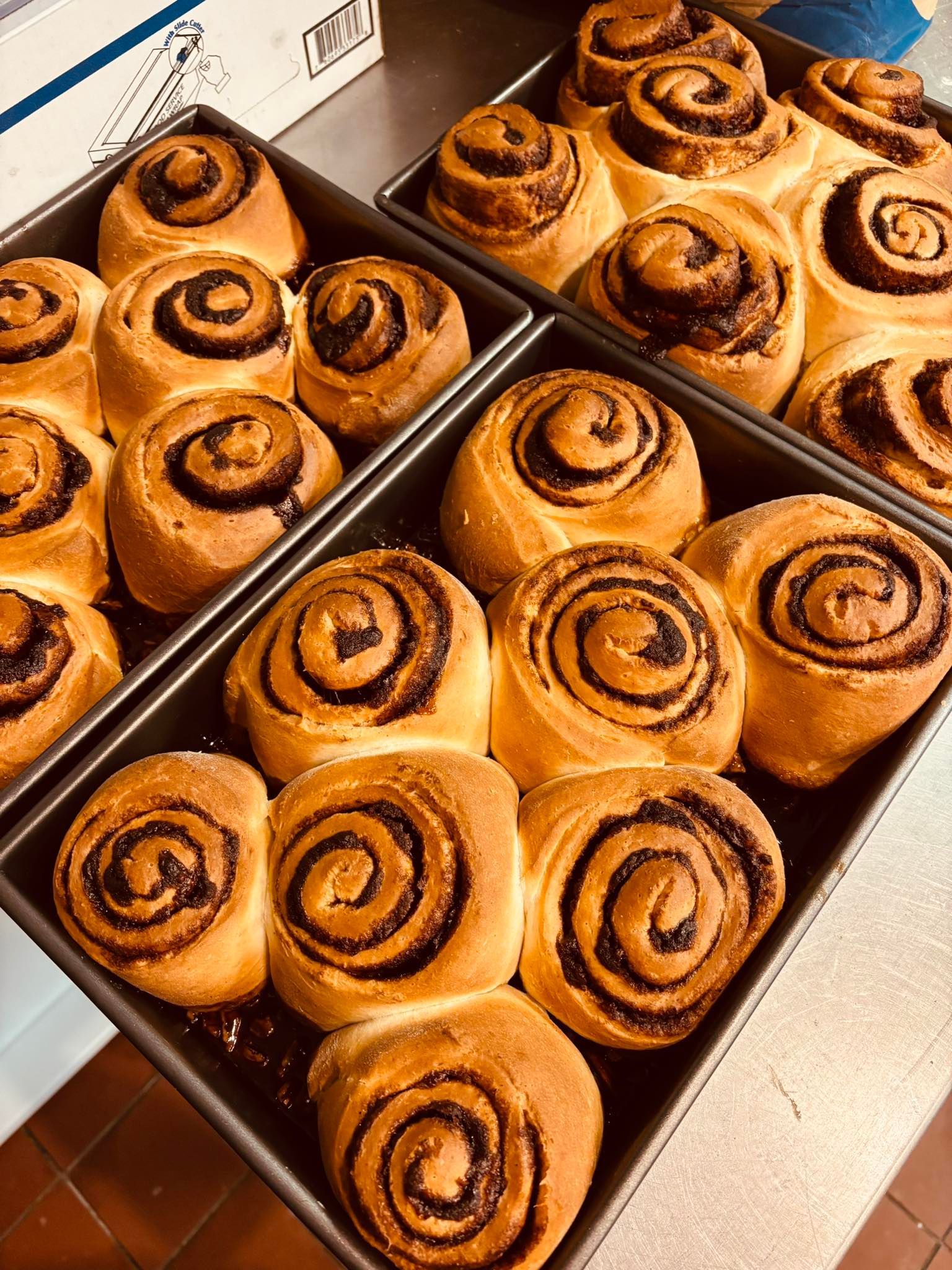 Several trays of fresh cinnamon rolls, brown and golden, ready to eat.