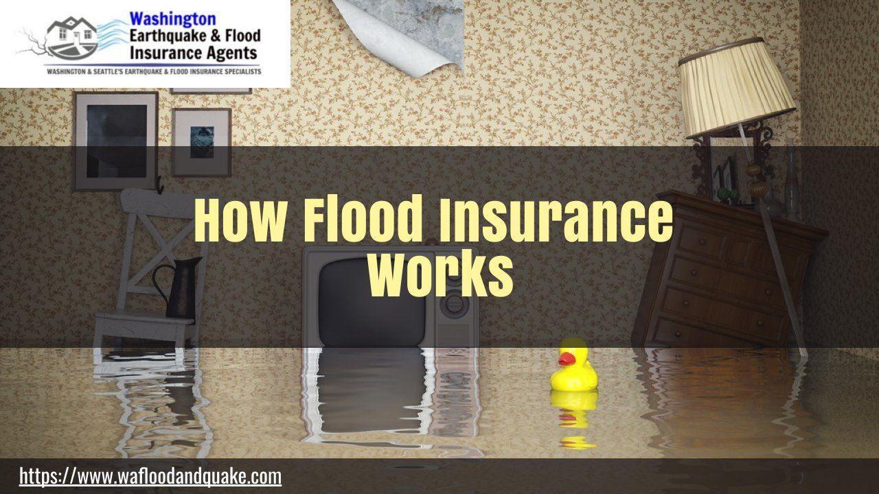How Flood Insurance Works Request An Estimate