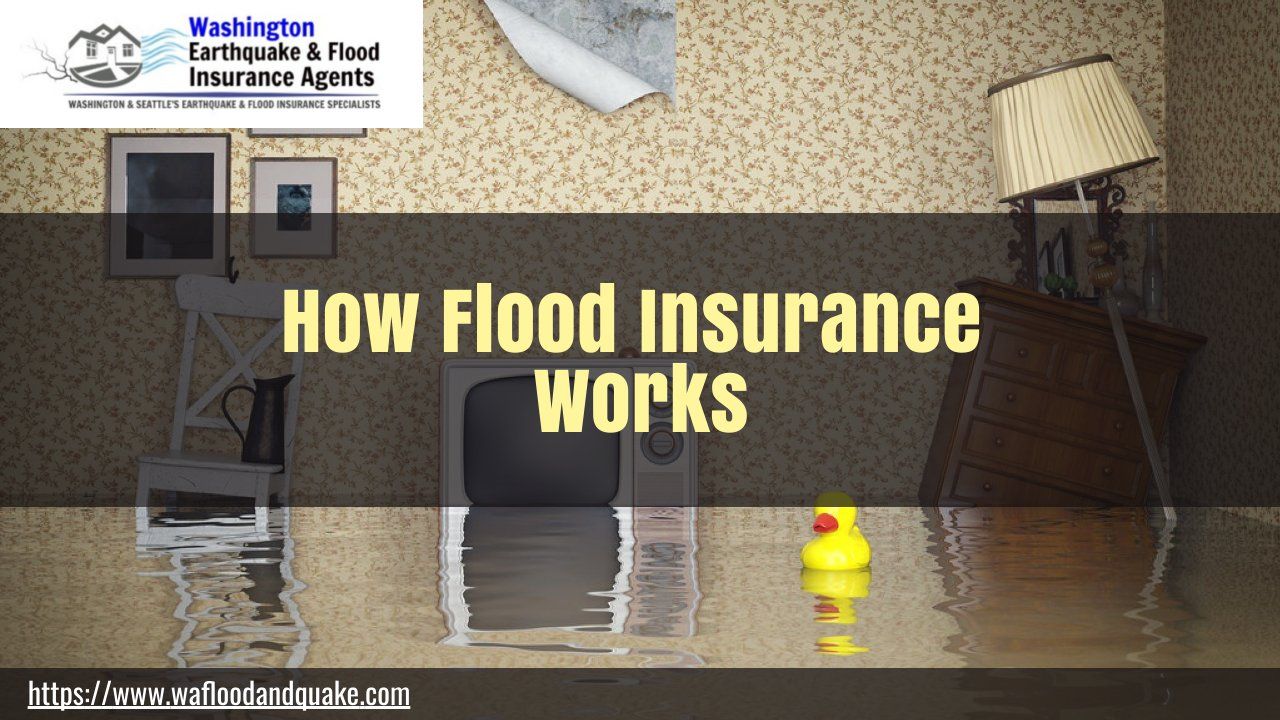 How Flood Insurance Works | Request An Estimate