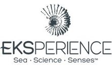 Eksperience logo