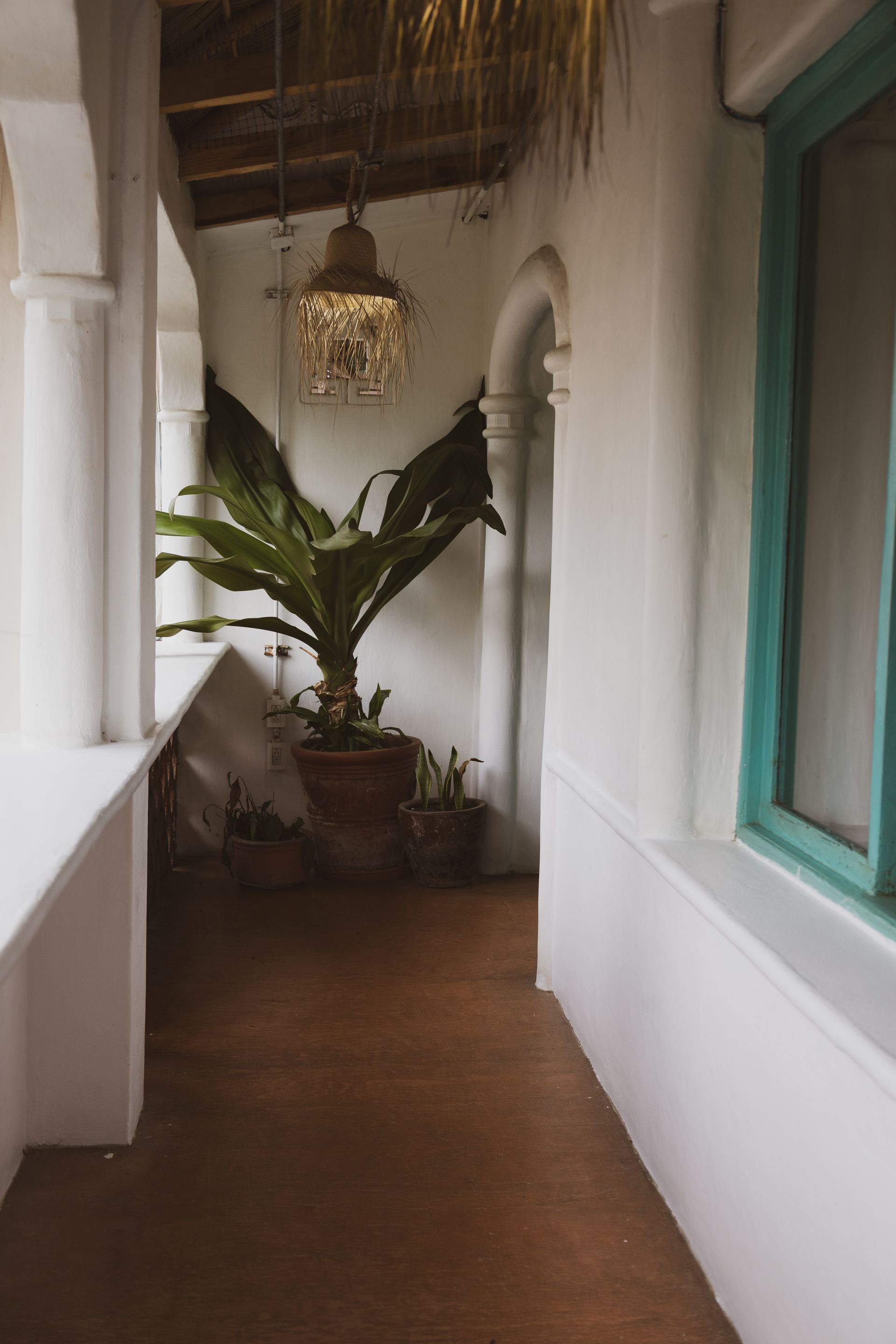 Pasillo con arcos blancos, suelo marrón, plantas en macetas y ventana con ribete turquesa. Dos lámparas decorativas cuelgan.