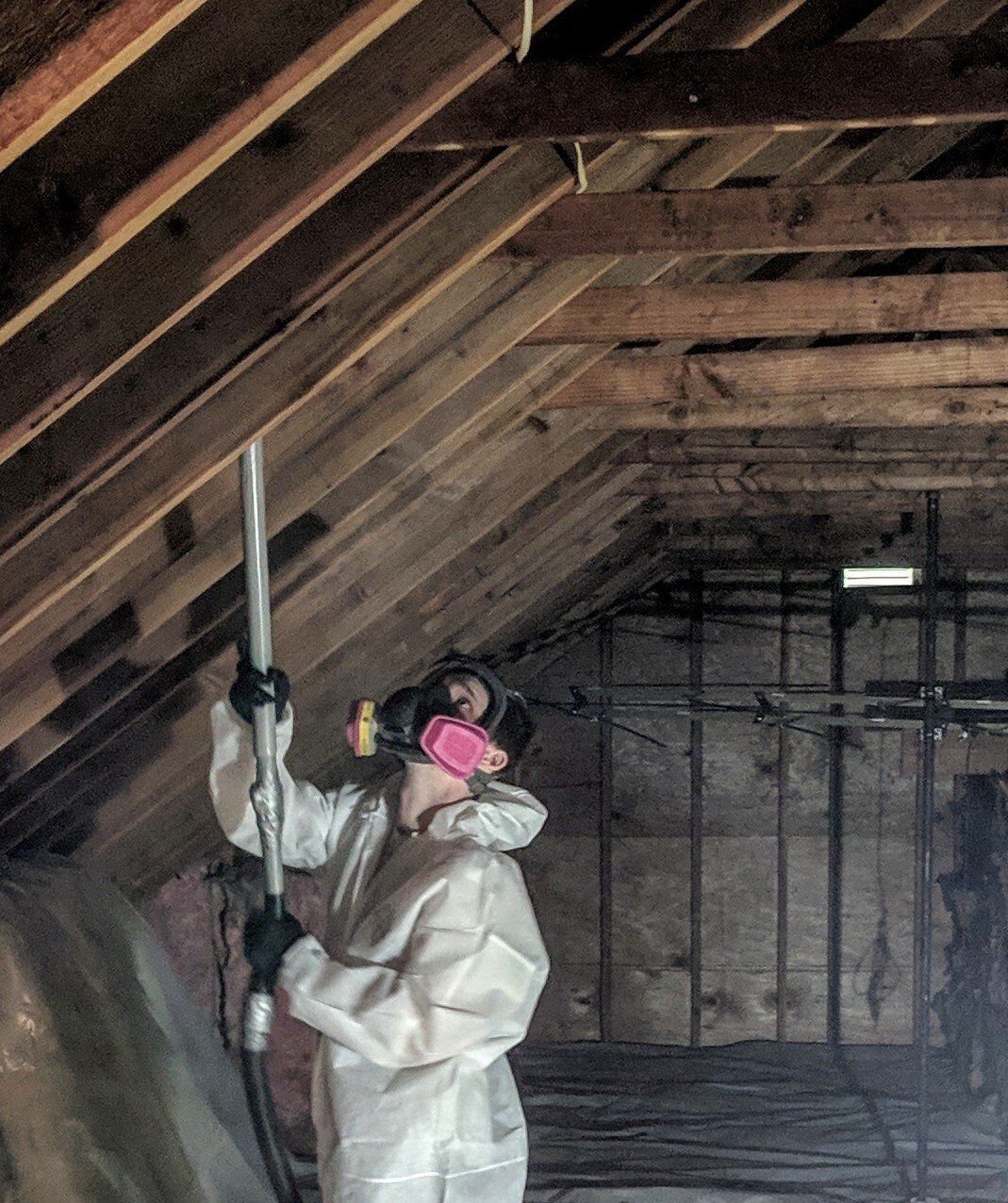 Professional Mold Remediation Company NJ | Mastertech North Jersey