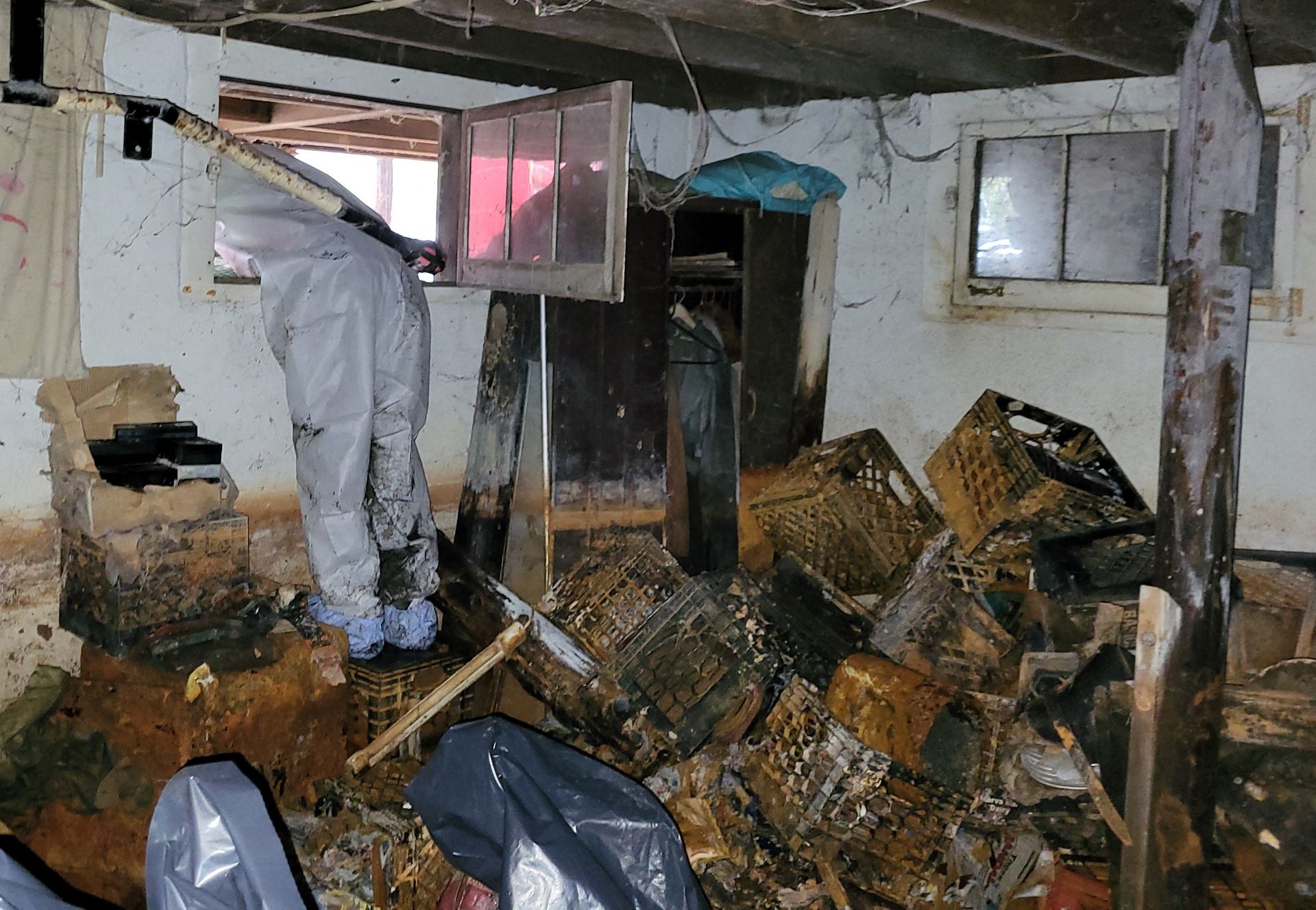 Mold inspection